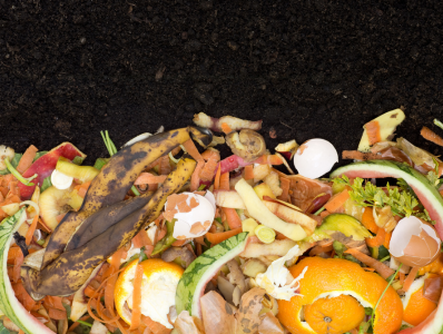 Food scraps on top of rich, dark compost.