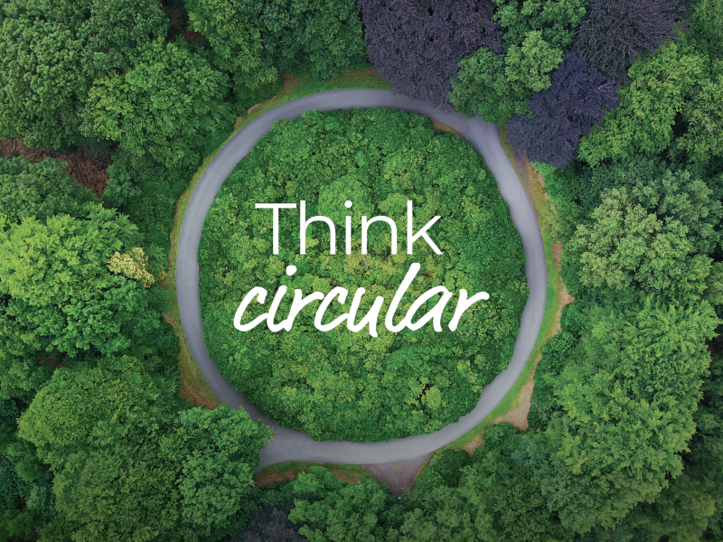 Think circular. A circular road in the middle of a green forest as seen from a bird's eye view.